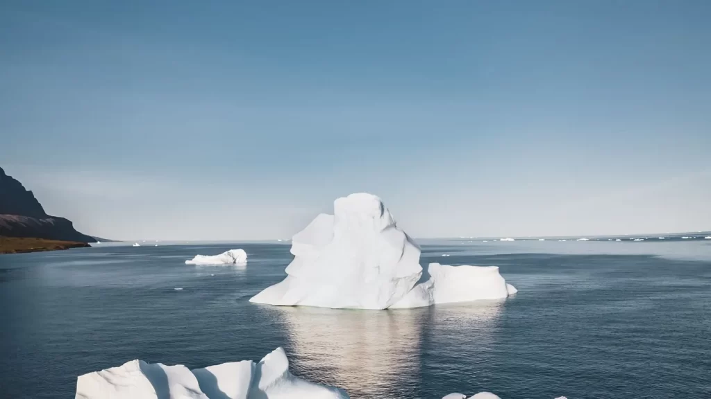 image taken from Canva